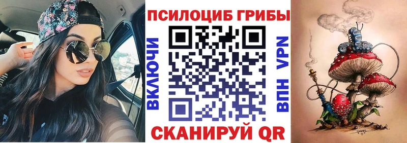 Псилоцибиновые грибы GOLDEN TEACHER  Купить где  Комсомольск-на-Амуре 